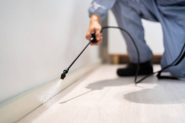 Licensed Fumigation Services service in Flat Rock, NC - Nex Pest Control
