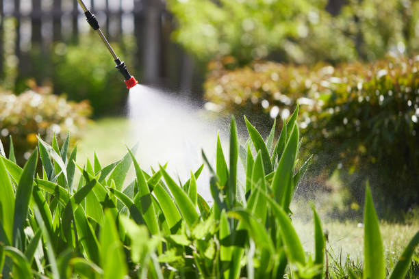 24/7 Emergency Fumigation Services experts in Flat Rock, NC