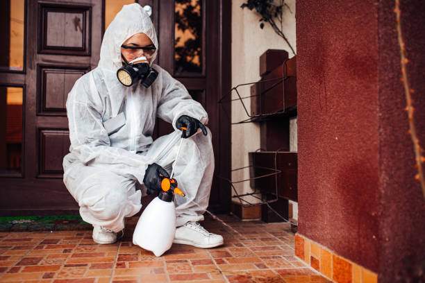 Reliable Fumigation Services contractor in Flat Rock, NC by Nex Pest Control