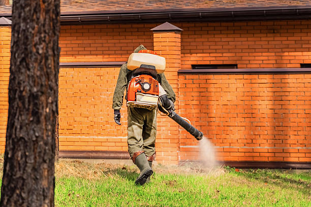 Top rated local Fumigation Services specialists in Flat Rock, NC